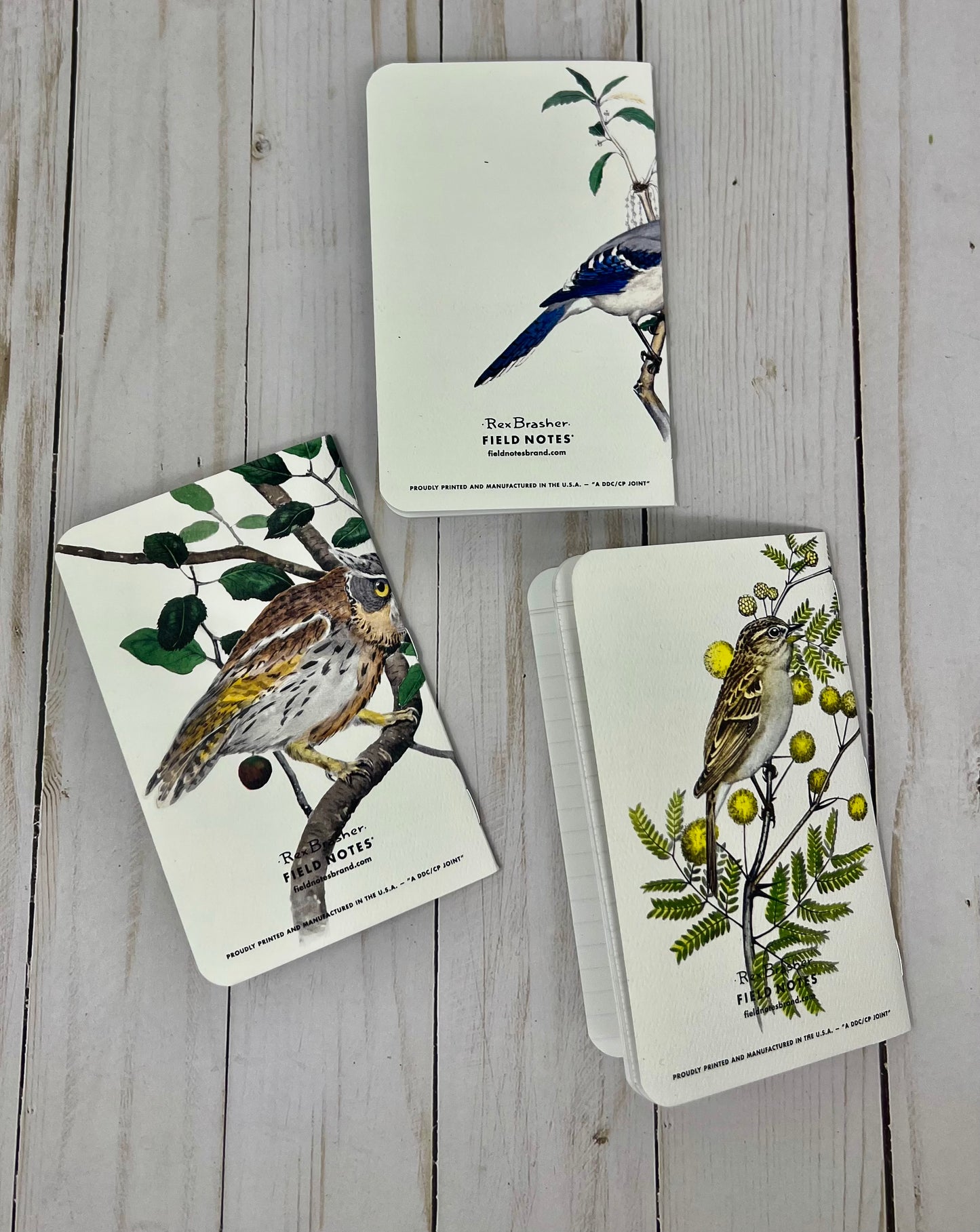 Field Notes “The Birds and Trees of North America” Pack  “A”, set of 3 ruled notebooks