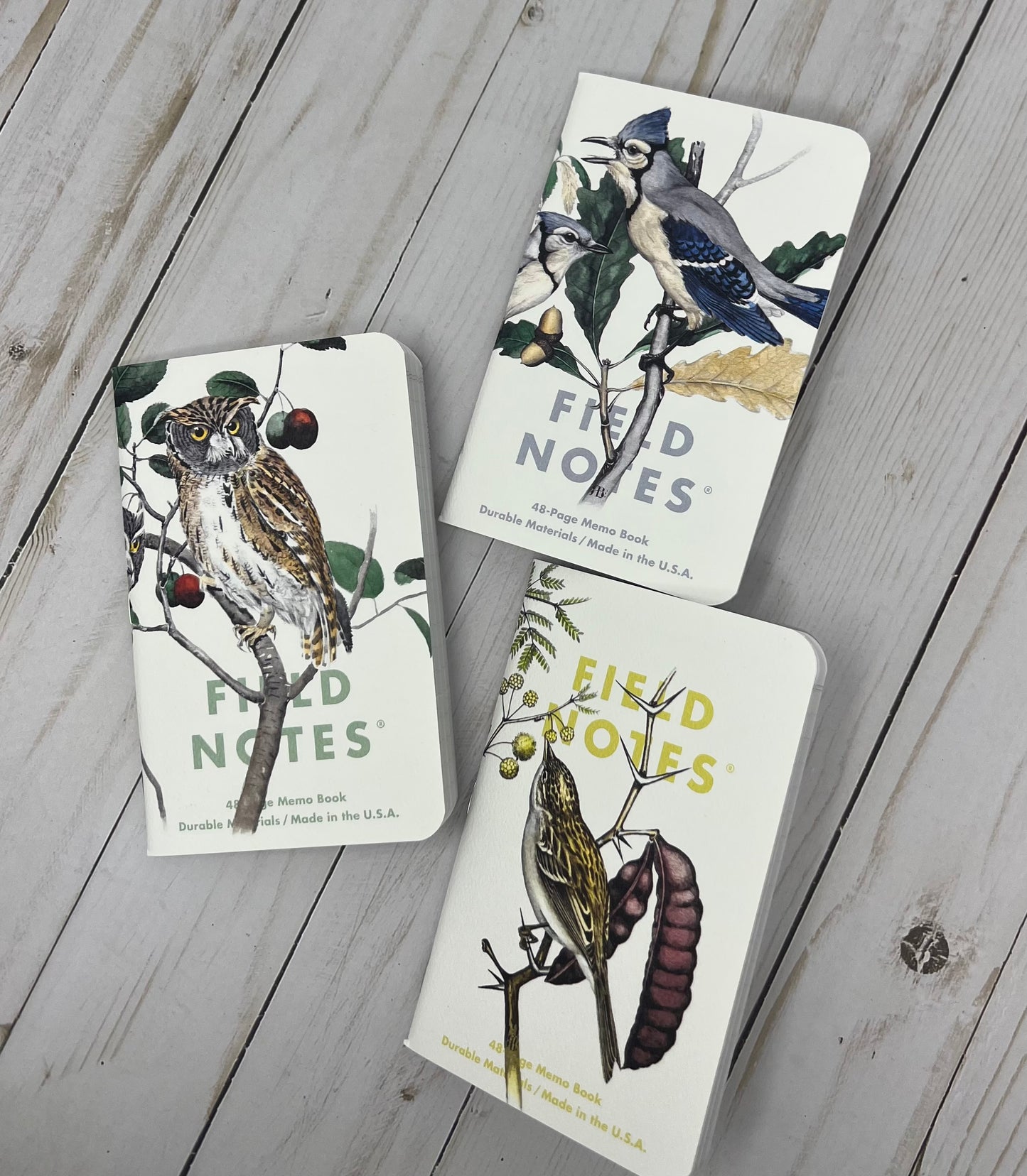 Field Notes “The Birds and Trees of North America” Pack  “A”, set of 3 ruled notebooks